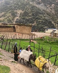 5.8M views · 10K reactions | Village drinking water emanating from the cracks of the mountain | Cooking TV | Facebook