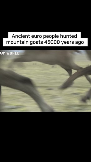 Ancient euro people hunted mountain goats 45000 years ago #hunting #ancient #documentary