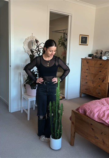 Euphorbia trigona, African milk tree, Care & Two Year Growth Journey. . #Euphorbia #CactiCare #EuphorbiaTrigona #AfricanMilkTree #HousePlant