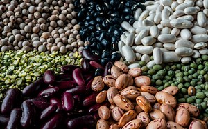 Leguminosas ayudan a disminuir glucosa y colesterol en sangre: UNAM | Video