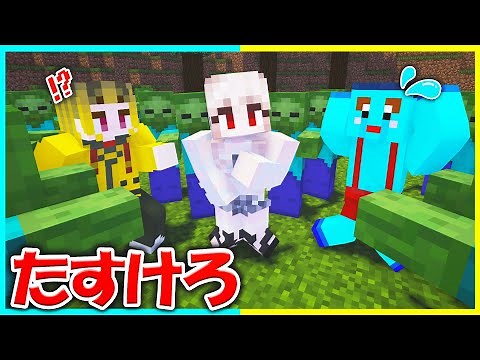 ダメージくらうと服が脱げる女の子を全力で守れ🔥【まいくら/マインクラフト】