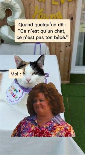 Quand on me dit : “Ce n’est qu’un chat”…