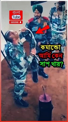 দেখুন কমান্ডো আর্মি কেন সাপ খায় 😱 | 🤯 Army Commando Training - Bangladesh & India #shorts #commando
