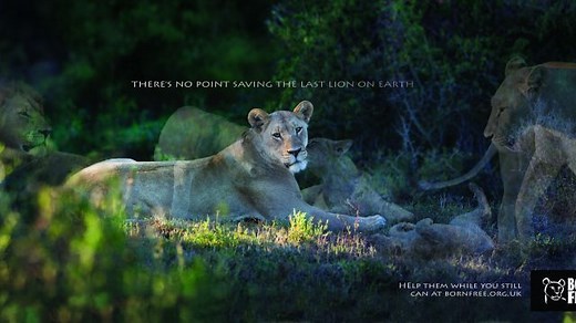 Most Powerful Wildlife Conservation Ads