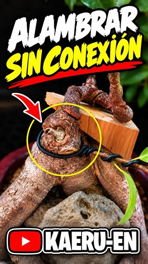 Alambrado sin conexión