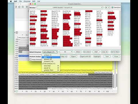 ApE Tutorial Video #3 - Working with restriction sites