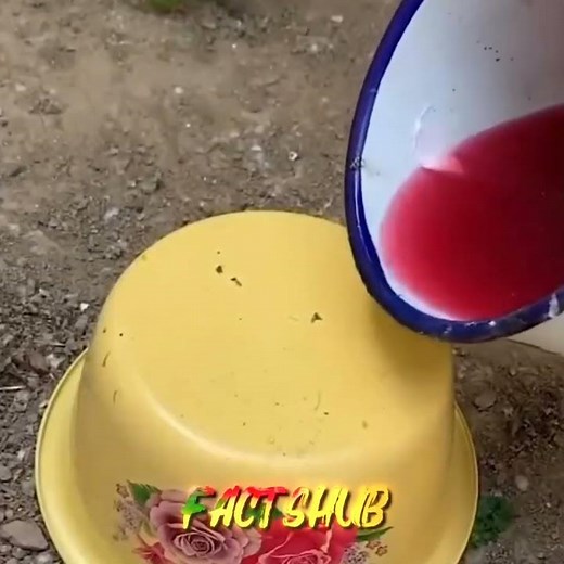 CH2Cl2 (Methylene Chloride) + C3H6O (Acetone) = Paint Gone! 😲 chemistry🗿 #fact #facts #nothingimposi