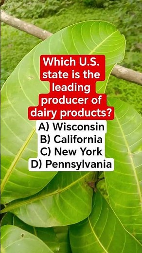 Which U.S. state is the leading producer of dairy products?