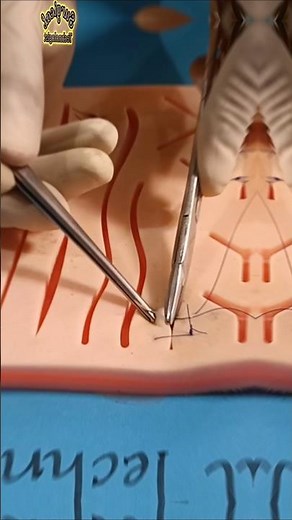Interrupted Suture Tutorial | SurgicalTechnologistOfficial #medical #suturingtechniques #shortsfeed