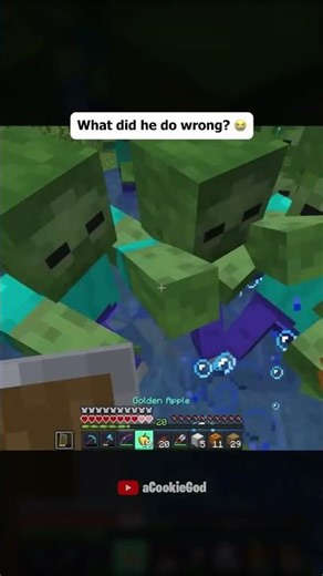 Cookie’s fans when he hosts his first meet up: ‪@aCookieGod‬ #acookiegod #minecraft #funny #viral #fyp