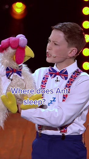 Chuck the Cheeky Comedi-Hen | BGT Comedy Act