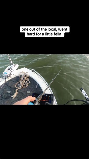 Feisty murray cod out of the local #fishing #fish #fishinglife #bassfishing #catchandrelease #outdoors #nature #angler #carpfishing #flyfishing #fishingislife #bass #pesca #fishingtrip #carp #fishingaddict #fisherman #trout #saltwaterfishing #hunting #bigfish #angling #fishingdaily #photography #troutfishing #shimano #fishon #carplife #australia🇦🇺 #australiatiktok #aussiethings #aussielife #aussietok #fishingtiktoks #fishinglife #jackall #jackalllures #viral #fyp #tiktok #foryoupage #viralvide