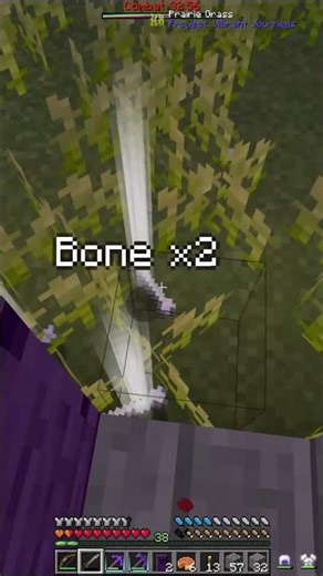 RAD 2 || Doors are NOT Safe... #minecraft