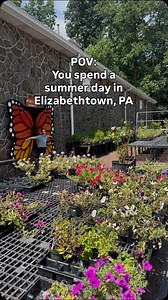 Come spend a sunny, summer day in Elizabethtown, PA 😎 Shop around downtown at shops like @copperfernonmarket and Steph ‘n Sara’s Naturals, check out the @mvfarmmarket for fresh produce, plants, and more, then stop at @udderblisscreamery for a sweet treat before heading home! We can’t wait for you to Discover Elizabethtown! . . . . . . #elizabethtownpa #lancastercountypa #discoverelizabethtown #etown #etownpa #visitpa #masonicvillagefarmmarket #copperonfern #udderblisscreamery | Discover Elizabe