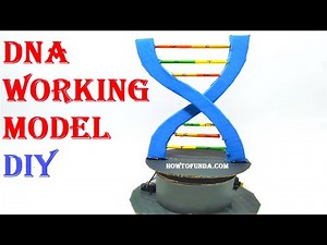 dna working model 3d making for science project | DNA structure | simple | dc motor howtofunda