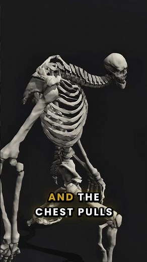 How to fix hunchback