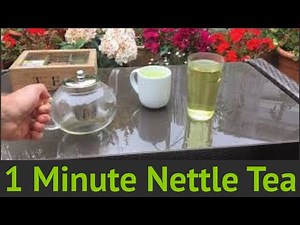One Minute Stinging Nettle Tea Recipe!