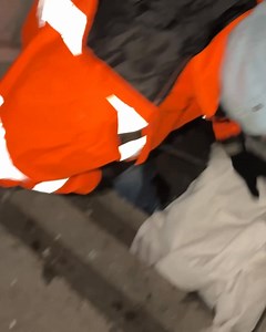 112K views · 6.2K reactions |  JUST RESCUED – THREE STRAYS SAFE FROM...