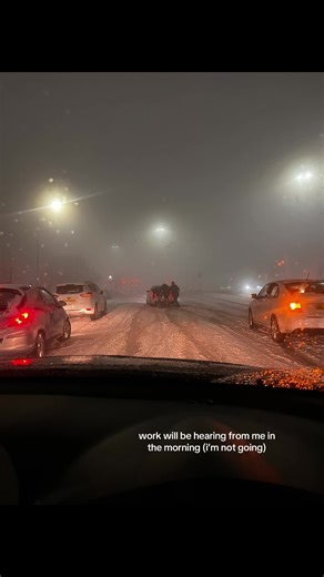 Stranded in Snow: Left the Car and Walked Home