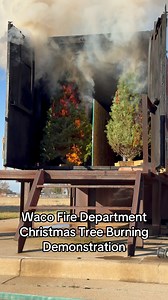 13K views · 63 reactions | Waco Fire Department Christmas Tree Burning Demonstration Real Trees- one Wet/watered and one Dry(no water for several days). Catch this story on KWTX News 10 Christmas safety tips while using real and artificial trees, lights and more. Stay safe my friends. Trees from @Lowe’s #wacofiredepartment #wacofire #christmastreefire #fire #treefire | Bradley Vaughn KWTX | Facebook