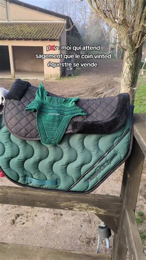 Selling Equestrian Items on Vinted