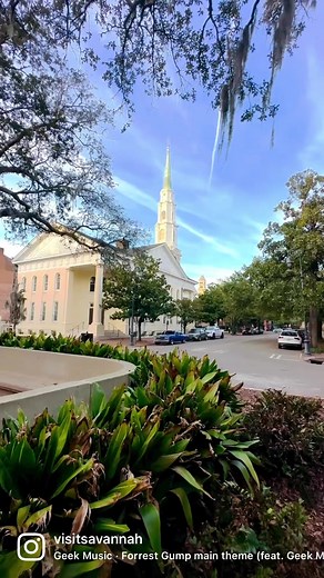 Do you recognize this spot in Forrest Gump? It’s where the feather falls at the beginning of the movie! #VisitSavannah #forrestgump