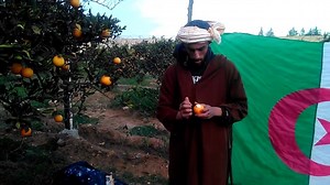 1.1M views · 10K reactions | هههههه فديو من تراث تفرجتو قلت نعاود نفكرهم بيه 2017 | دار السبيطار مع ثلاثي الهبال | Facebook