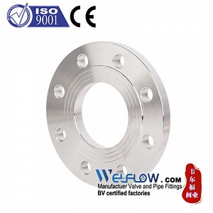 [Hot Item] Stainless Steel Plate Flange (PLRF/PLFF)