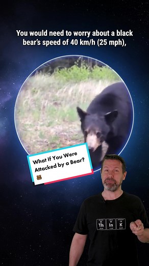 Different Types of Bear Attacks: Understanding the Risks