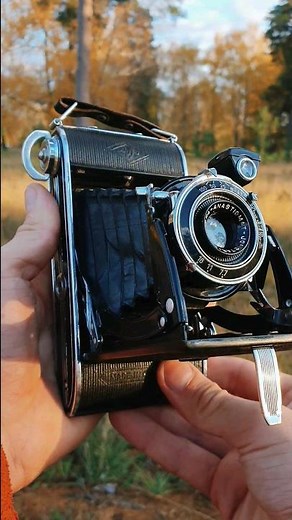 Film camera Agfa Billy Record 7.7 🎞 ILFORD HP5+ #film120mm #120mm #ilfordhp5