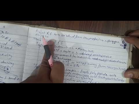 Nucleases (exonuclease and endonucleases) #molecularbiology #csirnet #gate #aktu