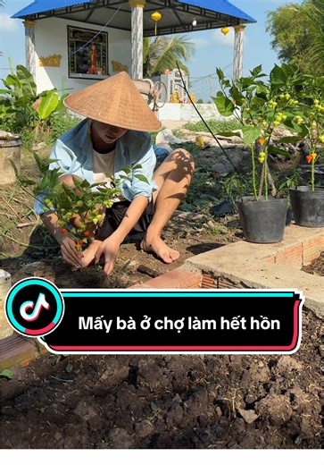 Cuộc sống miền Tây: Hương vị quê và những câu chuyện đời