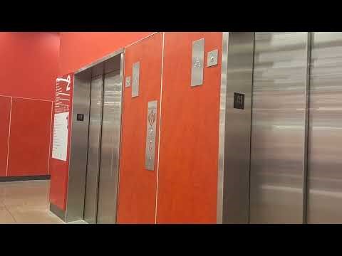 Watching 👀 The Target Elevator 🛗 Going Up In Springfield mall