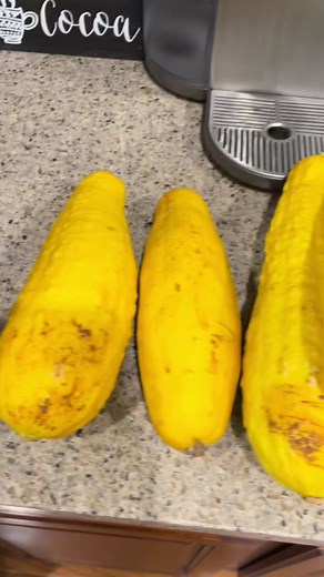 Rebel Canning Garden Squash and Zucchini for Crispy Frying