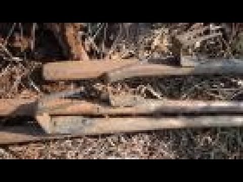 Cassava harvest made easier (summary)