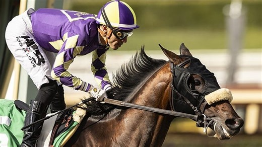Wanna bet? Here's how to read a horse racing form at the Kentucky Derby