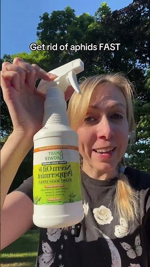 Use this Neem oil spray to get rid of aphids, spider mites and other garden pests in your vegetable