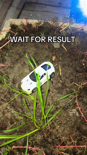 Toy Car Race Results: What Happened Next?