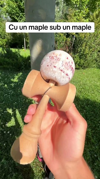 With maple Kendama under a Maple tree #kendama #kendamatricks #けん玉