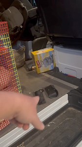 747K views · 25K reactions | “Son of an elephant fart”藍 If you watched tonights live you know Bear went mia for a bit. Come to find out he got into our van and destroyed everything. We know when he goes missing hes up to no good臘‍♀️ | Our Life Adventures | Facebook