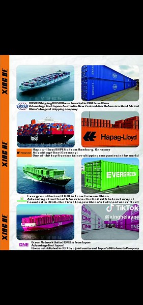 TikTok - Make Your Day