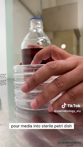 Microbiology Laboratory Techniques and Procedures Compilation