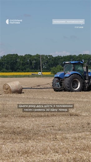 Why are farmers in the Poltava region not selling their new grain harvest?