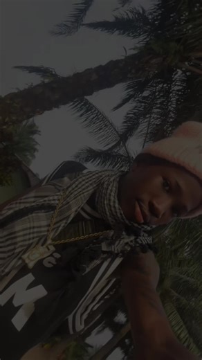 CapCut Video Editing Software Overview