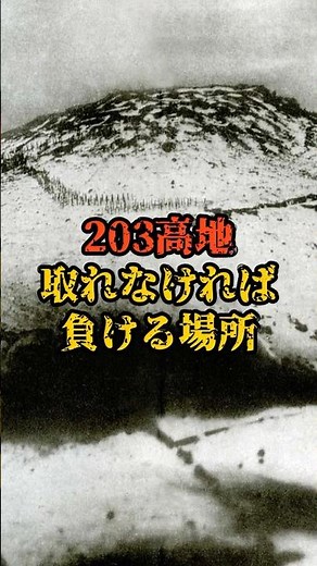 【日露戦争】203高地、取れなければ負ける場所 #歴史 #日本史
