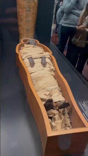 REAL Egyptian Mummy 😳 #egyptianmuseum #ancientegypt #museum #ancient #history #old #mummification