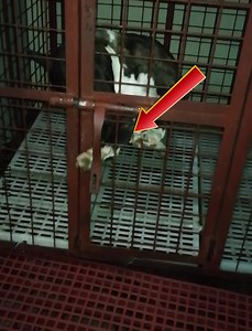 World's Best Escapes | Jacoby Ray