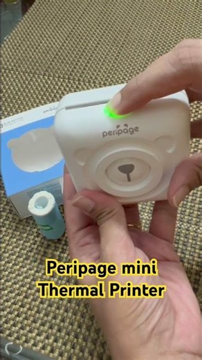 Peri Page Mini Thermal Printer Review | Zero Maintenance Printer | DocITBabiezz