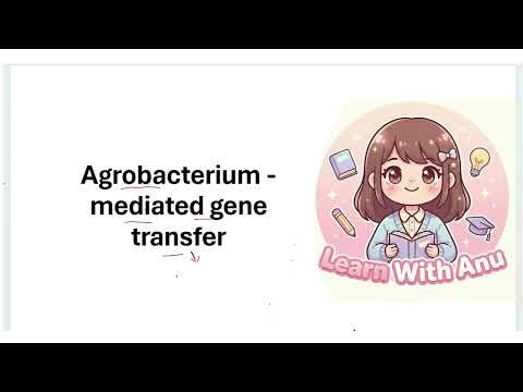 Agrobacterium Mediated Gene Transfer