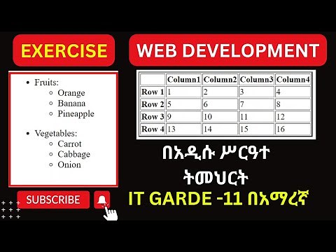 IT GRADE 11 UNIT 4 EXERCISE IN AMAHRIC/ WEB DEVELOPMENT /የ 11ኛ ክፍል IT ምዕራፍ አራት